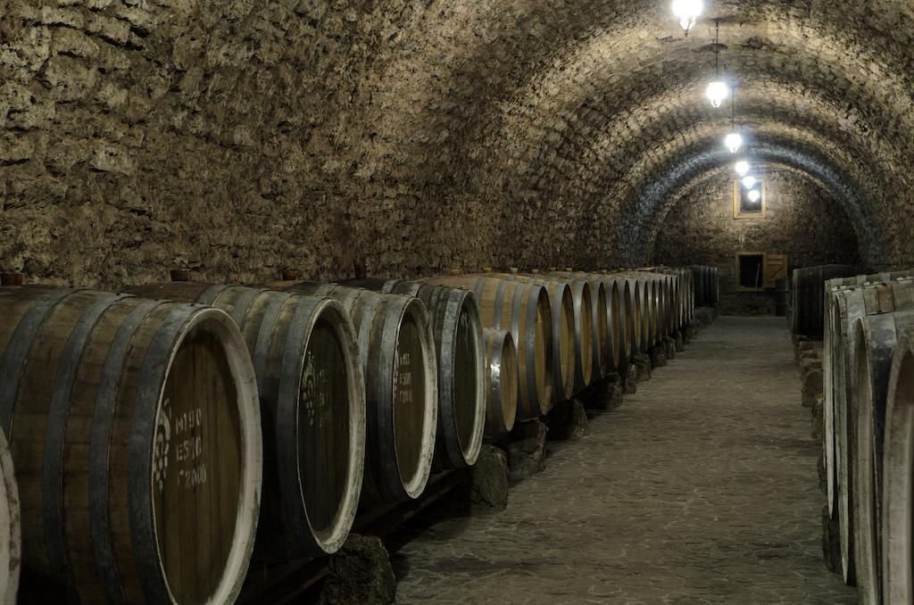 ホテル Prince Trubetskoi Winery ノーバ・カホフカ エクステリア 写真
