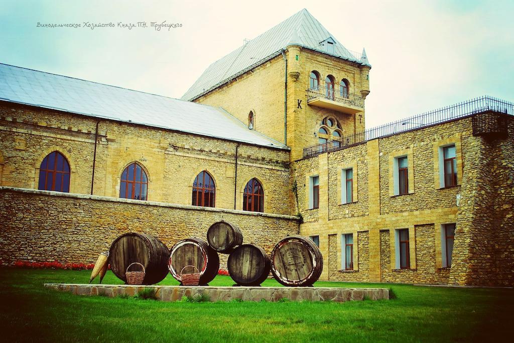 ホテル Prince Trubetskoi Winery ノーバ・カホフカ エクステリア 写真